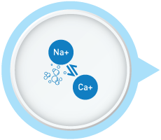 Efficient Ion-Exchange Process