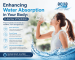Enhancing Water Absorption in Your Body A Journey of Hydration