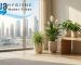 Why Reverse Osmosis Water Is Good For Your Plants In The UAE